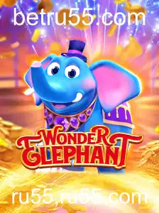 Explorando o Fascinante Mundo de WonderElephant